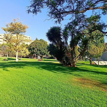 Light-flooded Loft In Cruz Санта-Крус-де-Тенерифе