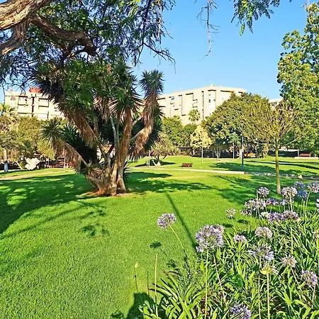 Light-flooded Loft In Cruz Santa Cruz de Tenerife