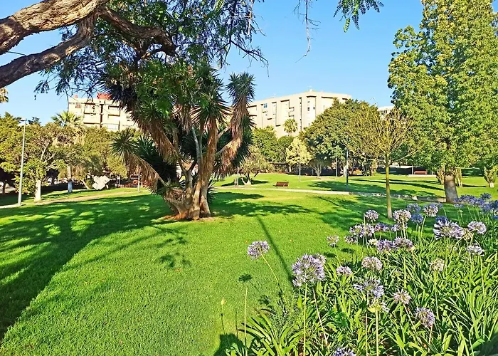 Light-flooded Loft In Cruz Santa Cruz de Tenerife