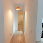 Light-flooded Loft In Cruz Santa Cruz de Tenerife
